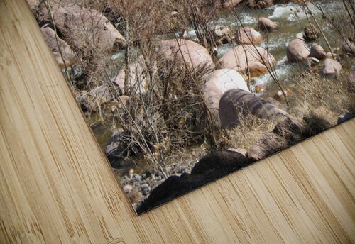 ARIZONA19 MOOSE STOCK PHOTOGRAPHY puzzle