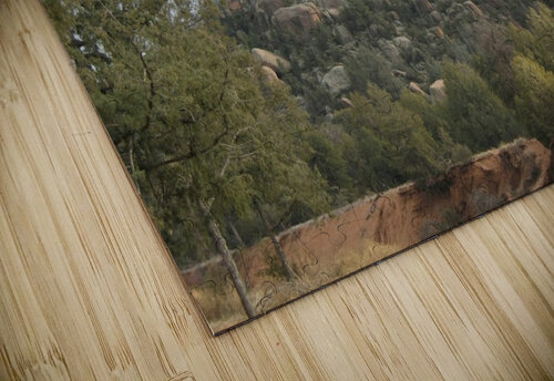 ARIZONA10 MOOSE STOCK PHOTOGRAPHY puzzle