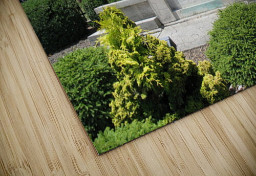 SANDUSKY COUNTY WAR MEMORIAL MOOSE STOCK PHOTOGRAPHY puzzle