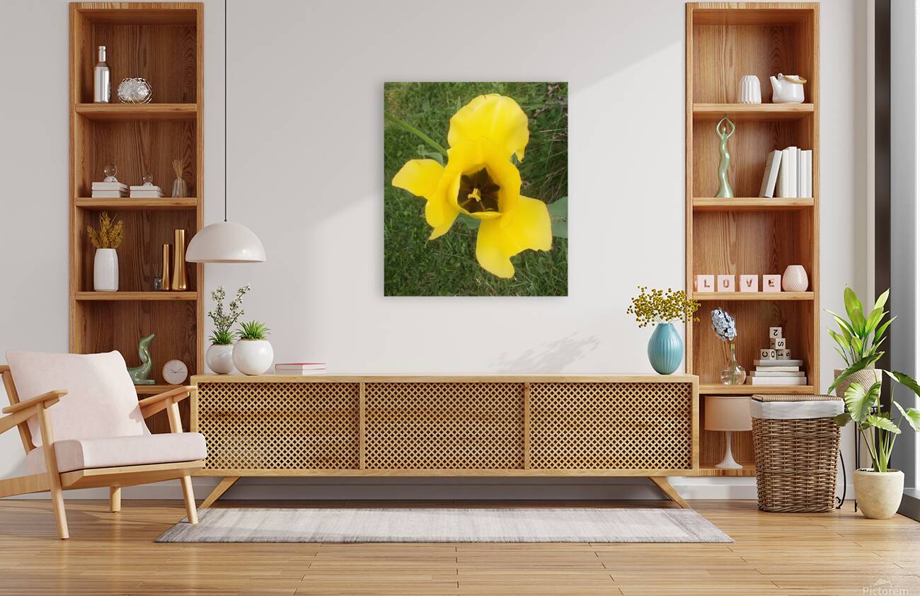 YELLOW FLOWER Reproduction