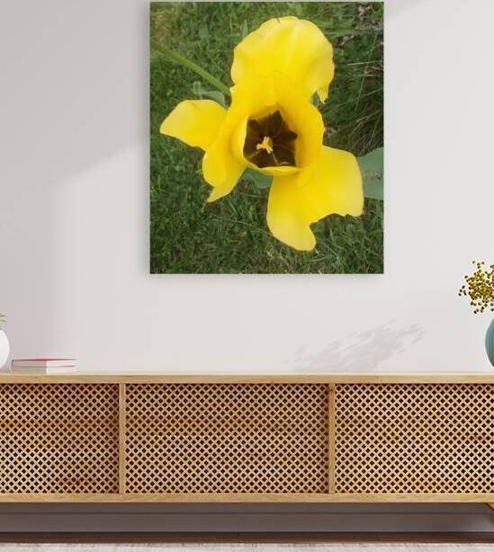 YELLOW FLOWER Reproduction