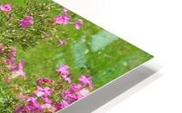 PURPLE FLOWER HD Metal print