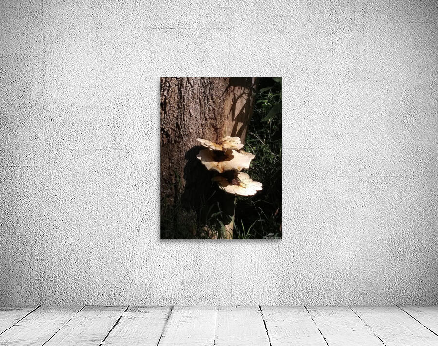 MUSHROOMS ON TREE Wall Preview