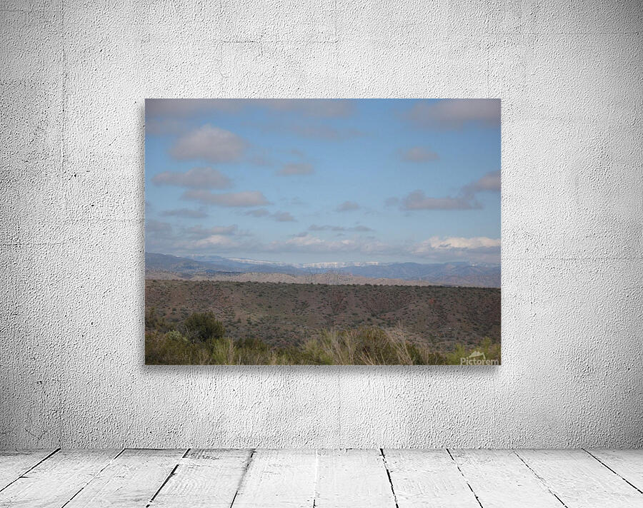 ARIZONA6 Wall Preview