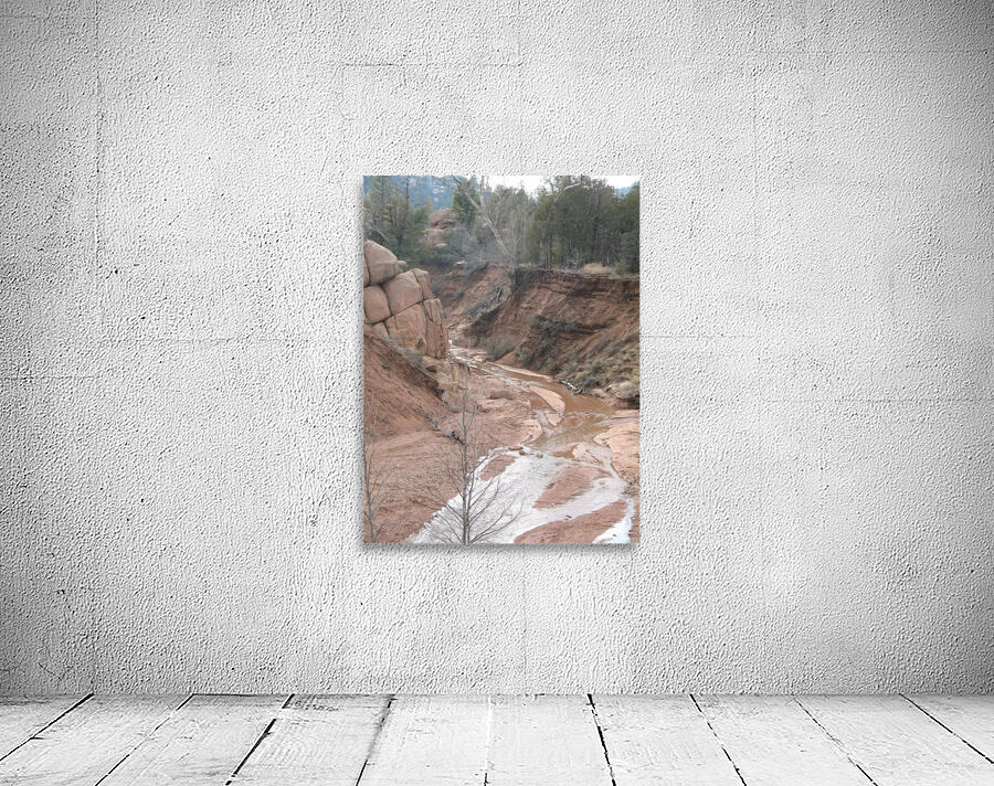 ARIZONA11 Wall Preview