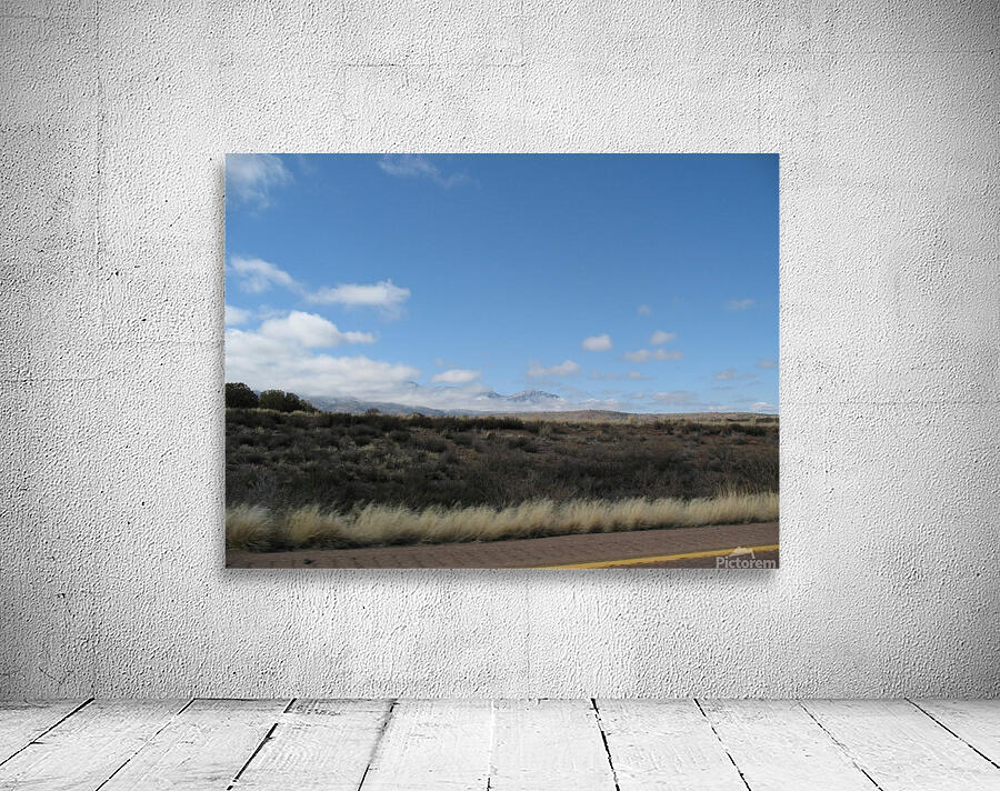 ARIZONA7 Wall Preview