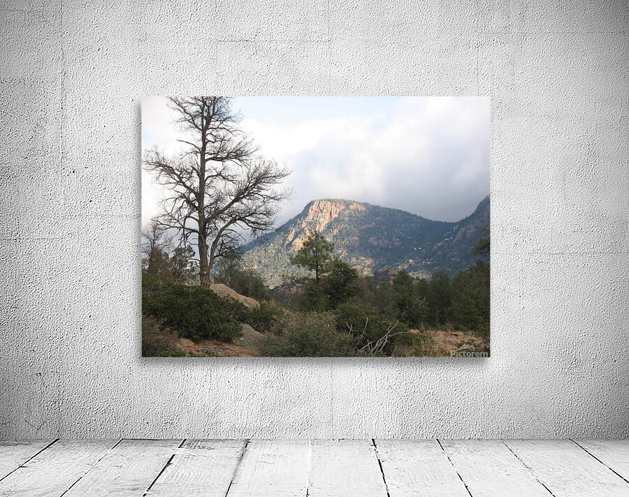 ARIZONA9 Wall Preview
