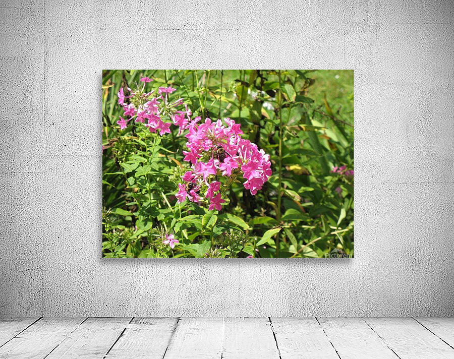 PURPLE FLOWER 2 Wall Preview