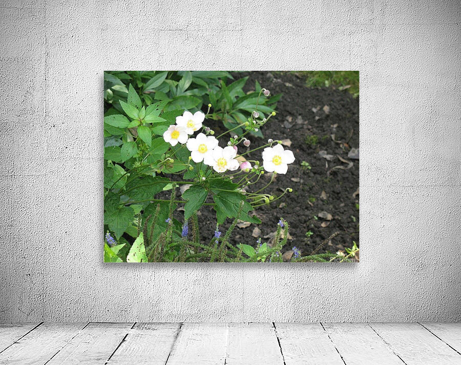 WHITE FLOWERS Wall Preview