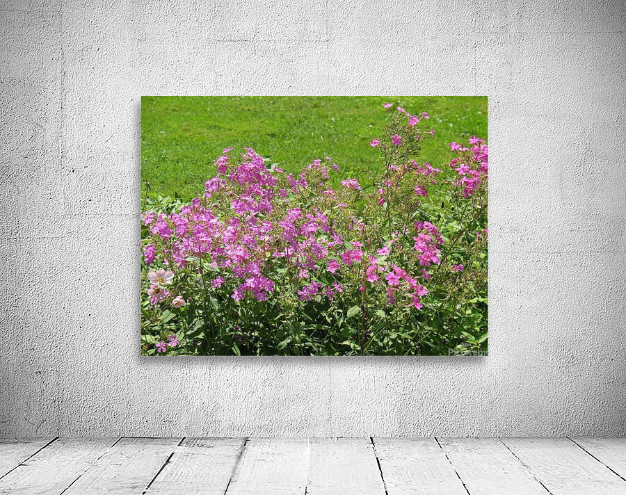 PURPLE FLOWER Wall Preview