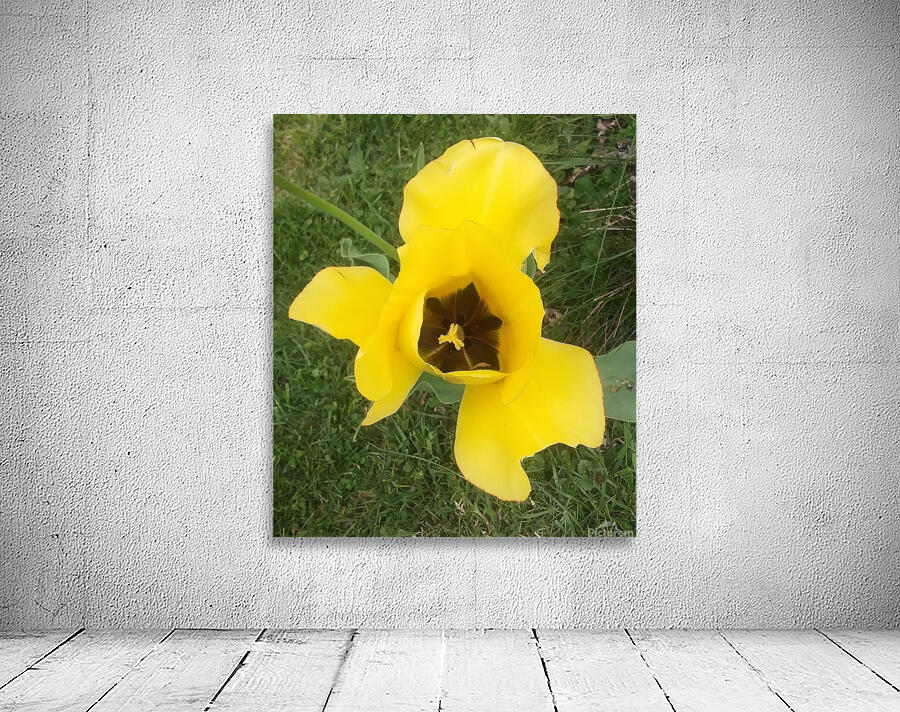 YELLOW FLOWER Wall Preview