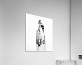 Horseman Acrylic Print