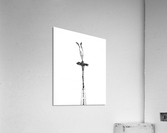 Ballerina Acrylic Print