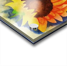 sunflower.v2 Acrylic print