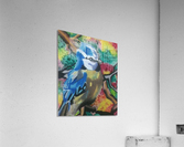 blue tit.v2 Acrylic Print
