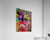 bird abstract 5.v3 Acrylic Print