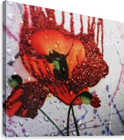 poopy eloquence.v3 Canvas Print