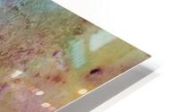 see no evil.v3 HD Metal print