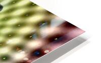 spoken illusion.v1 HD Metal print