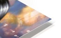 Ocotillo  HD Metal print