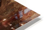 Adorned HD Metal print
