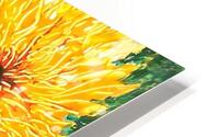 Fall Mums HD Metal print