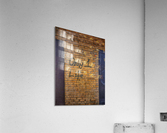 Only 1 Life Acrylic Print