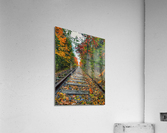 Fall Tracks Acrylic Print