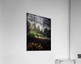 Music Garden  Acrylic Print