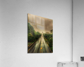 Yonge Midtown Acrylic Print