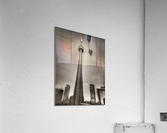 Black & White  Acrylic Print
