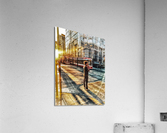 City Walk  Acrylic Print