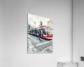 Morning Direction Acrylic Print