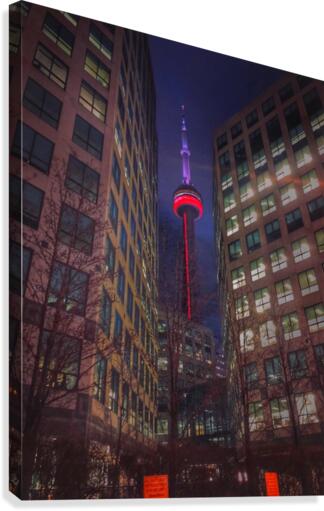 Blue Jays  Way  Canvas Print