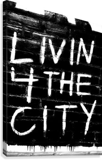 4 the City Canvas Print
