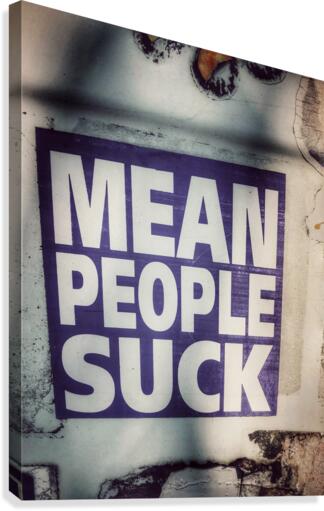 All About Mean People Canvas Print