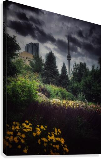 Music Garden  Canvas Print
