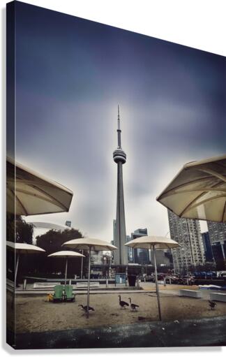 Toronto Harbour View  Canvas Print