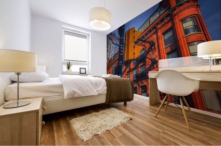 Front FlatIron View - Toronto Mural print