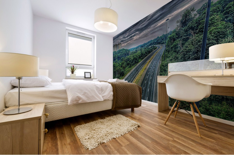 404 View Mural print