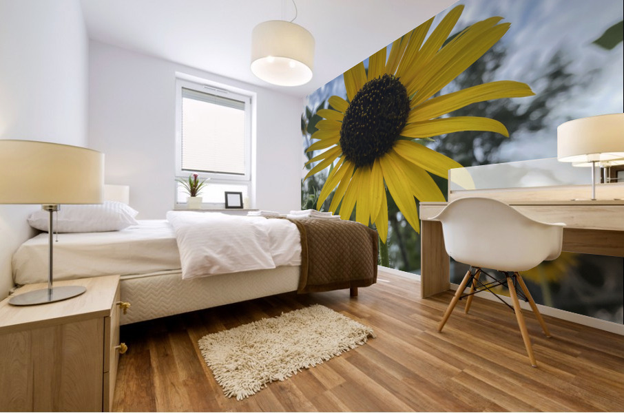 Midtown Sun. Mural print