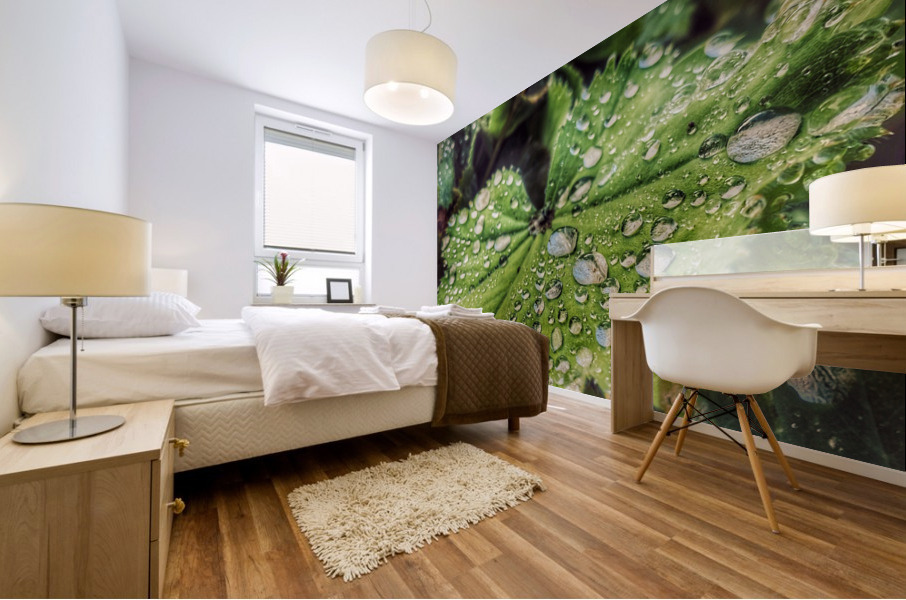 Bayview Water Drops Mural print