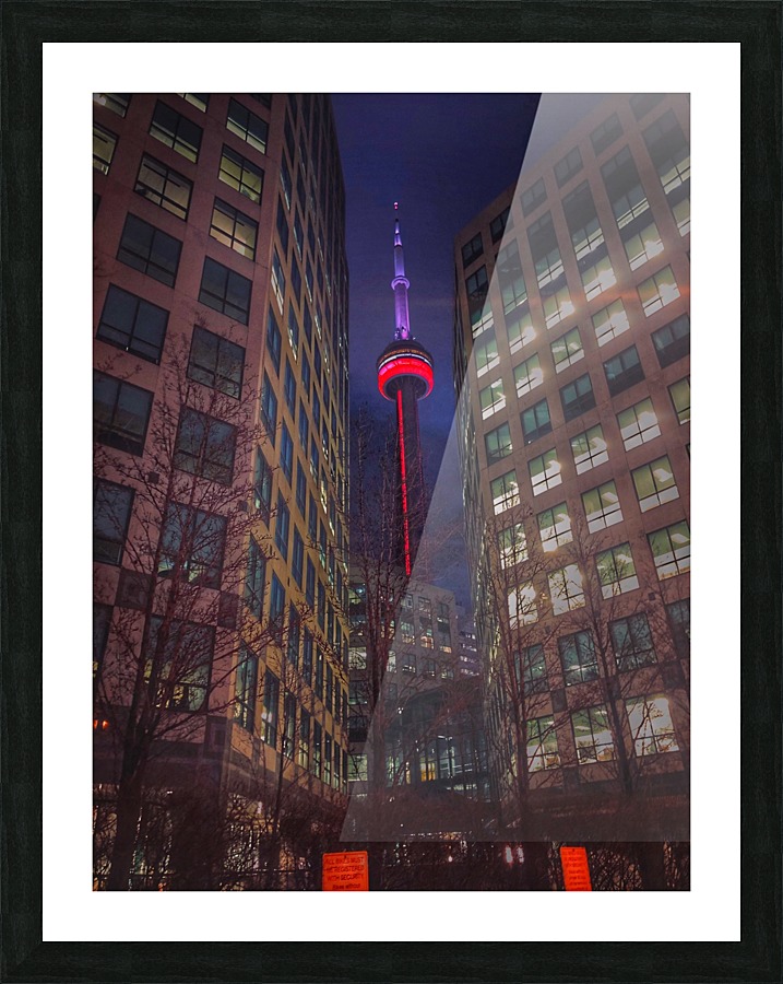 Blue Jays  Way  Picture Frame print