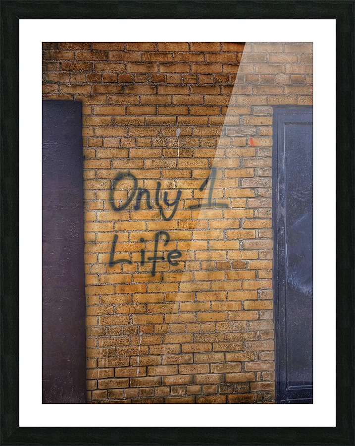 Only 1 Life Picture Frame print