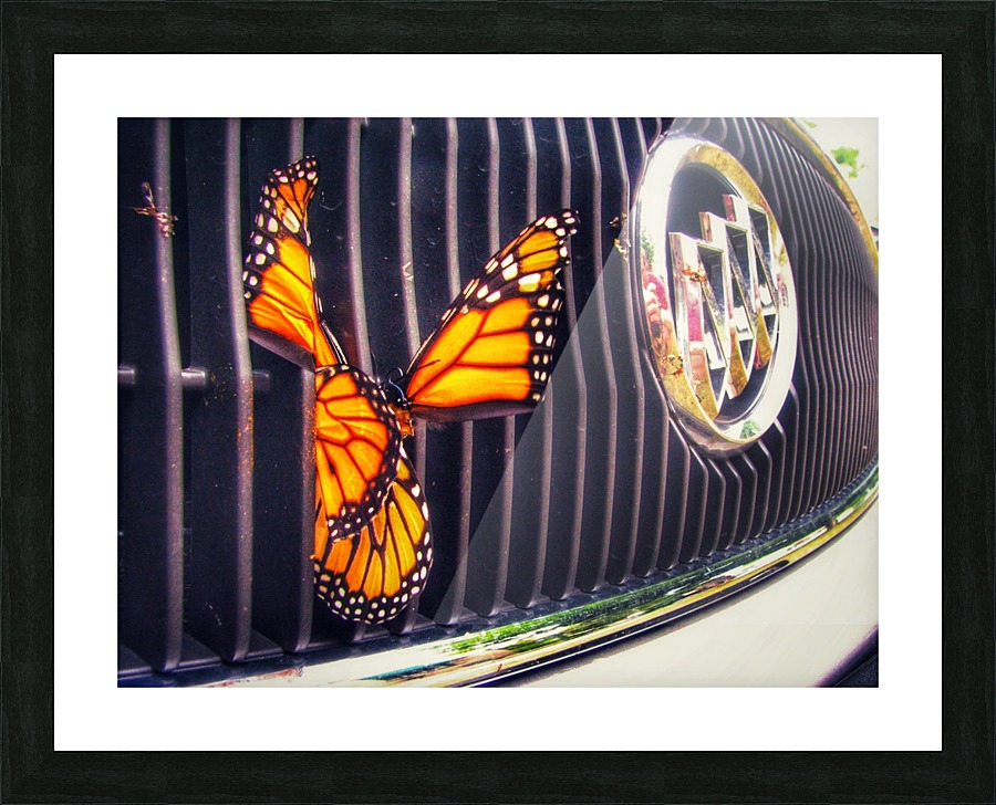 Natures Last Stand Picture Frame print