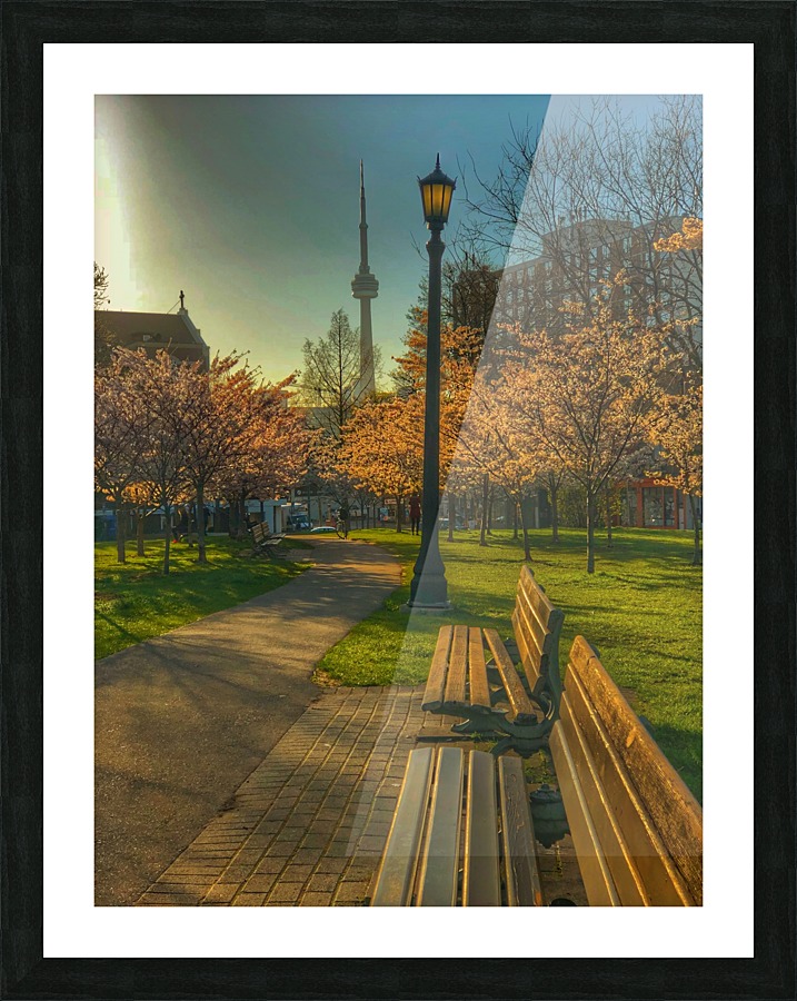 Trinity Park  Picture Frame print
