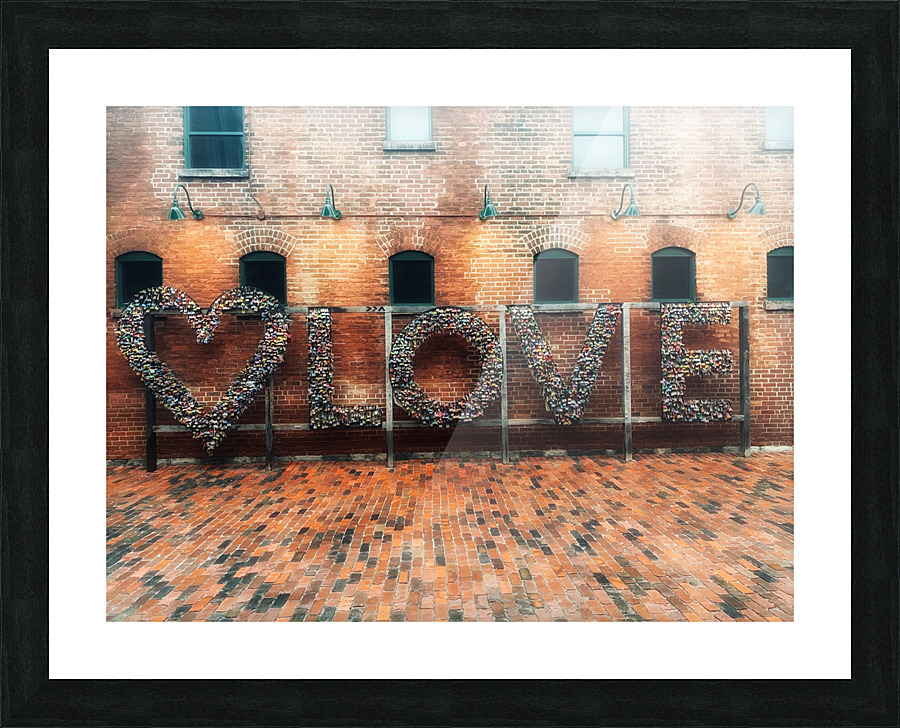District Love Picture Frame print