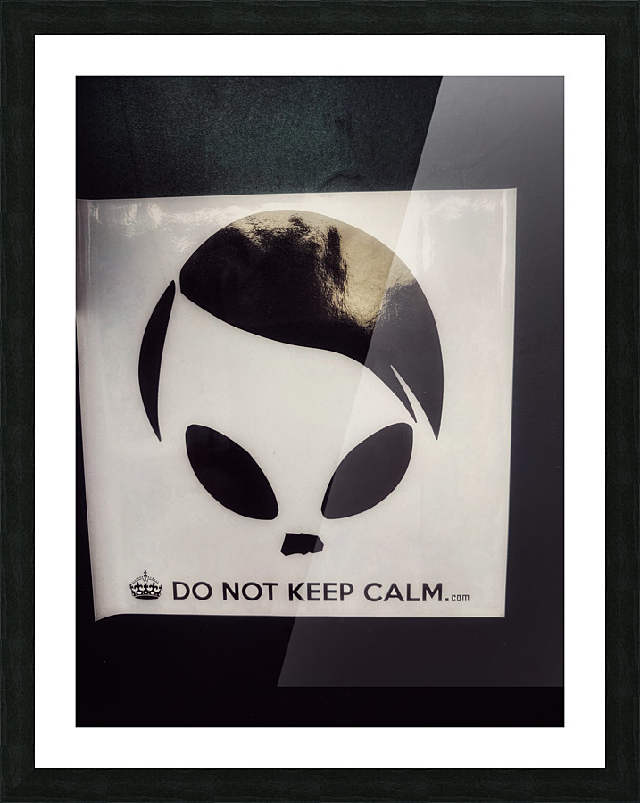 Do Not Keep Calm Picture Frame print
