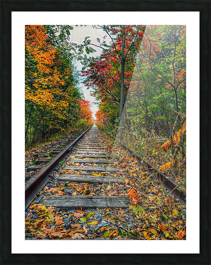 Fall Tracks Picture Frame print