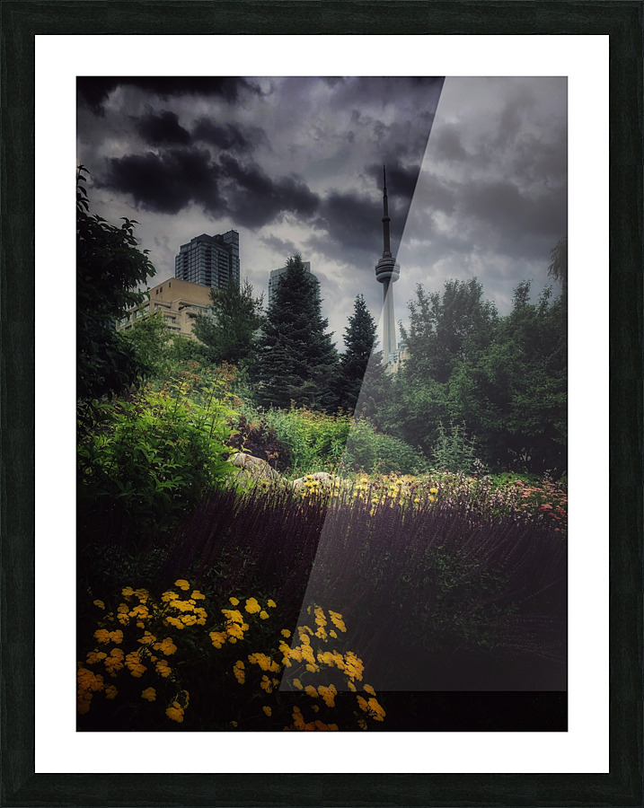 Music Garden  Picture Frame print